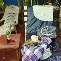 фото из отзыва ID 1941494