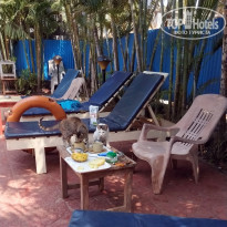 фото из отзыва ID 1941494