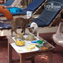 фото из отзыва ID 1941494