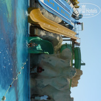 фото из отзыва ID 1942429