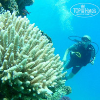 фото из отзыва ID 1942382