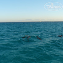 фото из отзыва ID 1942458