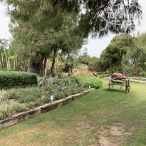 фото из отзыва ID 1942305