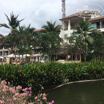 фото из отзыва ID 1942865