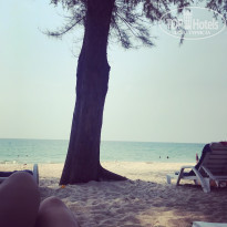 фото из отзыва ID 1942874