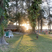 фото из отзыва ID 1942874