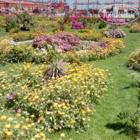 фото из отзыва ID 1942898