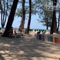 фото из отзыва ID 1942874