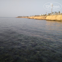 фото из отзыва ID 1942901