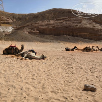 фото из отзыва ID 1942932