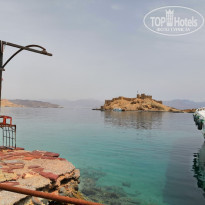 фото из отзыва ID 1942932