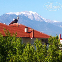 фото из отзыва ID 1942988