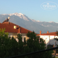 фото из отзыва ID 1942988