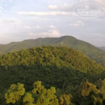 фото из отзыва ID 1943037