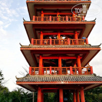 фото из отзыва ID 1943037