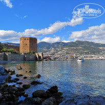 фото из отзыва ID 1942900