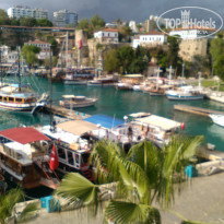 фото из отзыва ID 1943027