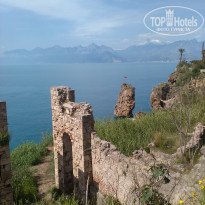 фото из отзыва ID 1943027