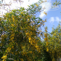 фото из отзыва ID 1943027