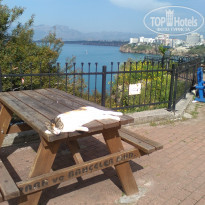 фото из отзыва ID 1943027