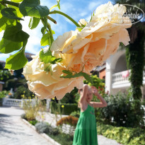 фото из отзыва ID 1943222