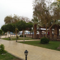 фото из отзыва ID 1943235