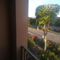 фото из отзыва ID 1943244