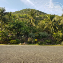 фото из отзыва ID 1943466