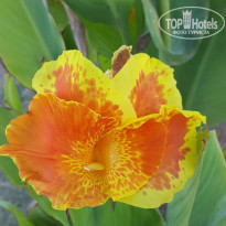 фото из отзыва ID 1942140