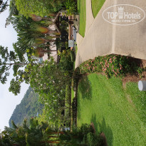 фото из отзыва ID 1943667