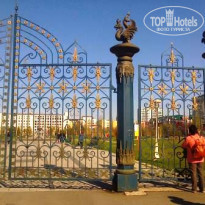 фото из отзыва ID 1943512