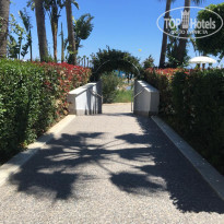 фото из отзыва ID 1943850