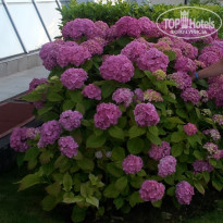 фото из отзыва ID 1943430