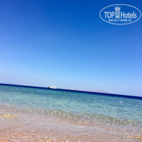 фото из отзыва ID 1944034