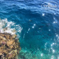 фото из отзыва ID 1944034