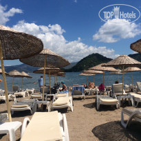 фото из отзыва ID 1944255