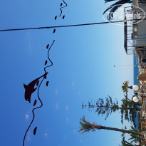 фото из отзыва ID 1944268