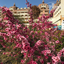 фото из отзыва ID 1944433