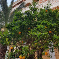 фото из отзыва ID 1944433