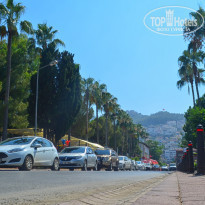 фото из отзыва ID 1944454