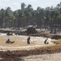 фото из отзыва ID 1942568