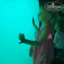 фото из отзыва ID 1944570