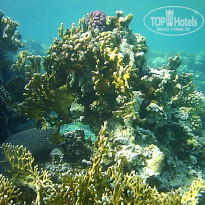 фото из отзыва ID 1944570