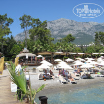 фото из отзыва ID 1944916