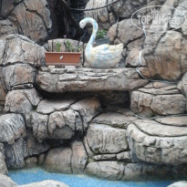 фото из отзыва ID 1945136