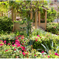 фото из отзыва ID 1945405