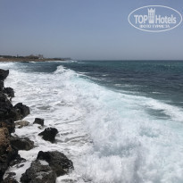 фото из отзыва ID 1945573