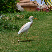 фото из отзыва ID 1945626