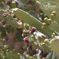 фото из отзыва ID 1945626