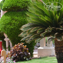 фото из отзыва ID 1945626